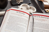Jesus in Red (Daily Devotional)