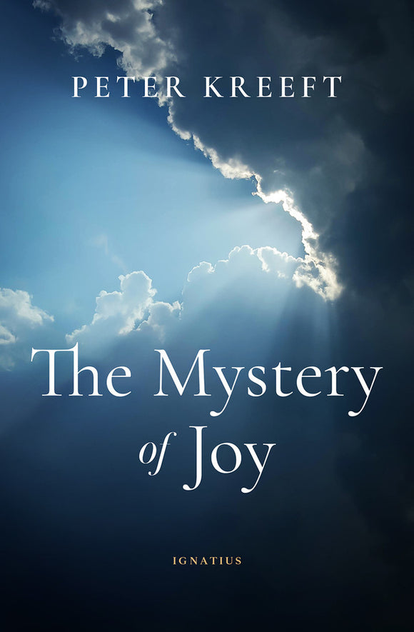 THE MYSTERY OF JOY
