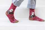 SOCK - ST PADRE PIO - ADULT