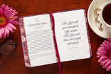 100 Days of Strength for Women (Devotional)